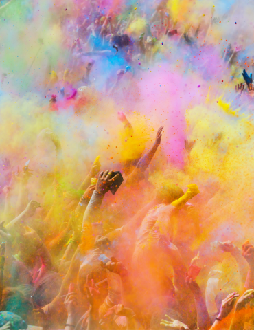 PACK ECOHOLI PARTY 500 PEOPLE