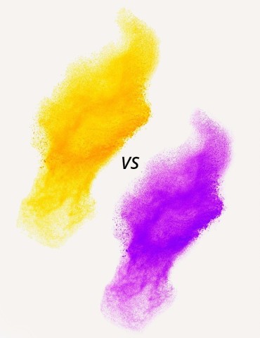 PACK HOLI BATTLE  50 PEOPLE